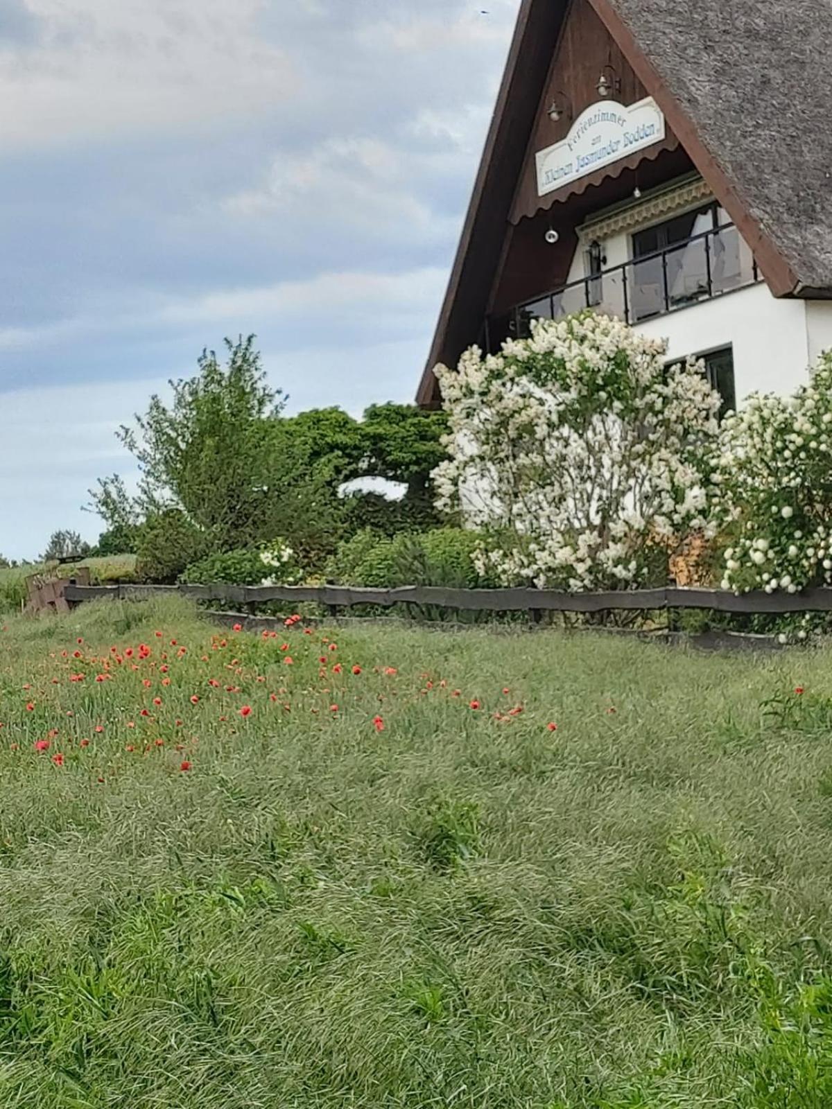 เพนชั่น พีเทอร์เซิน Hotel แบร์เกิน เอาฟ์ รือเจิน ห้อง รูปภาพ